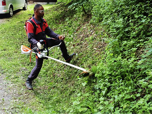 STIHL-Training in Waiblingen.