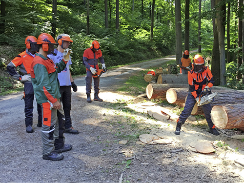 STIHL-Training in Waiblingen.