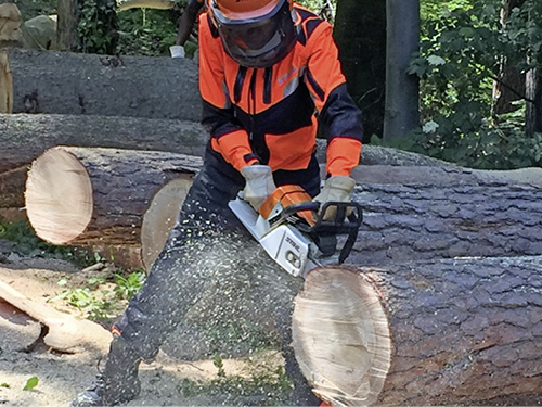 STIHL-Training in Waiblingen.